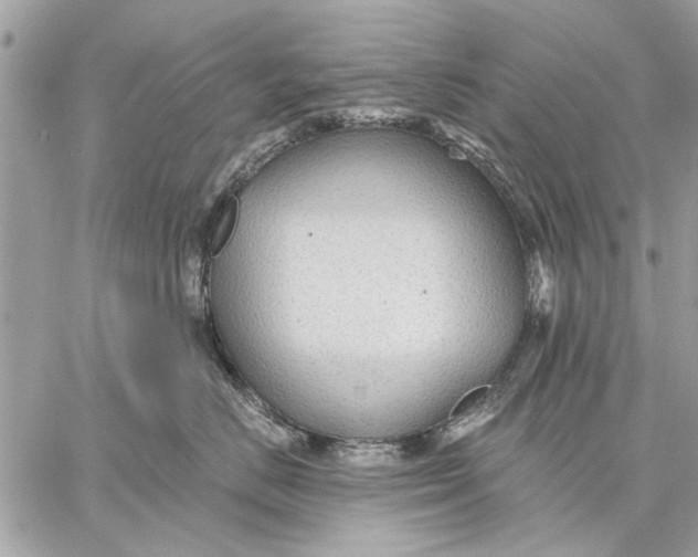 X0000059080670200510281725