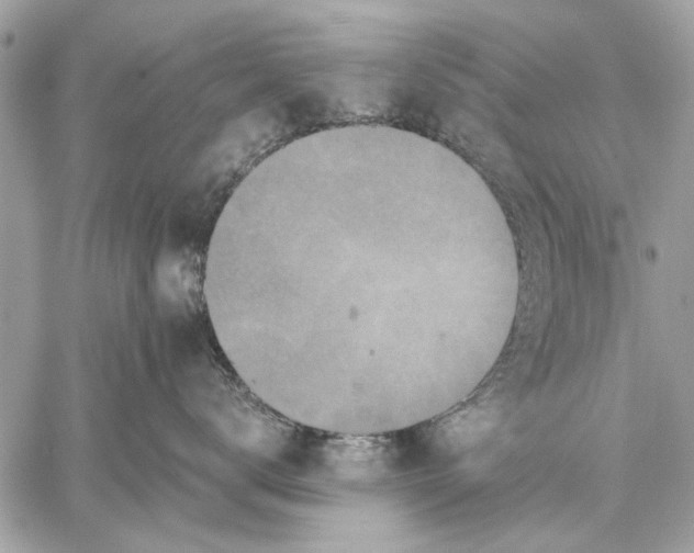 X0000059080672200510281725