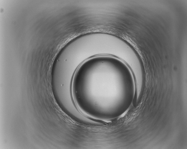 X0000059080673200510281724