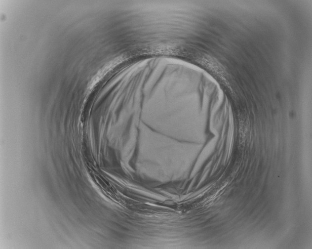 X0000059080674200510281724