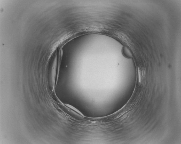 X0000059080675200510281724