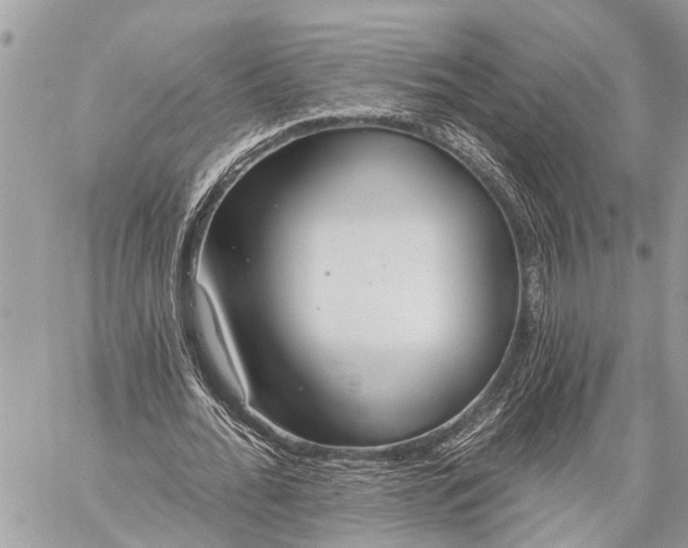 X0000059080676200510281724