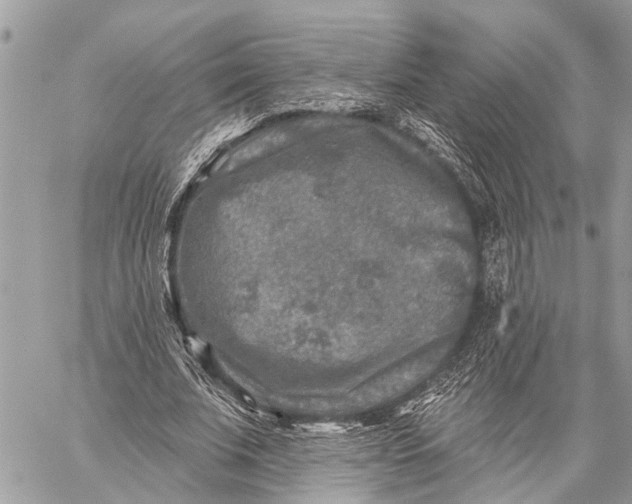 X0000059080679200510281724