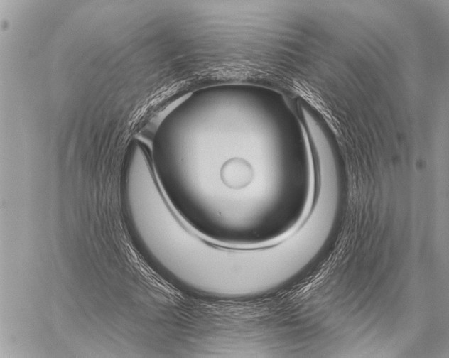 X0000059080681200510281724