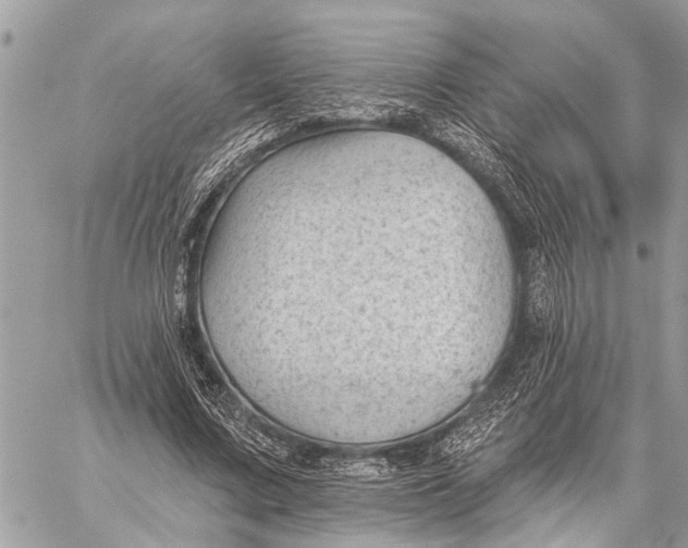 X0000059080683200510281724