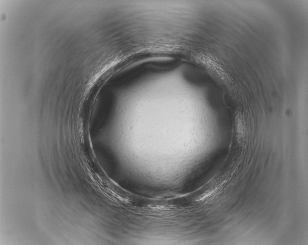 X0000059080684200510281724