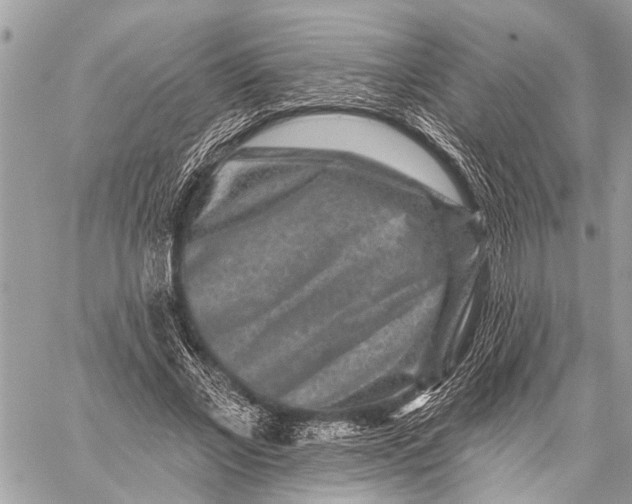 X0000059080685200510281724