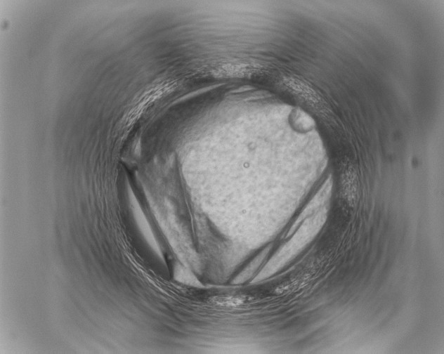 X0000059080687200510281724