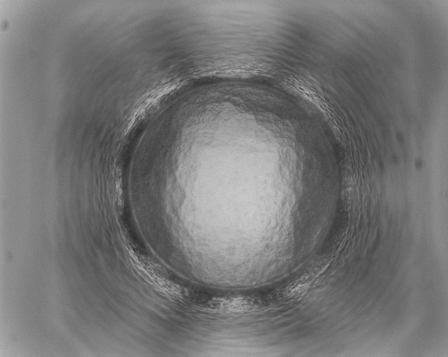 X0000059080688200510281724