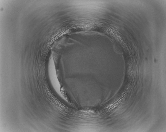 X0000059080689200510281724