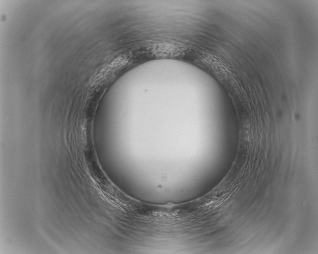 X0000059080690200510281724