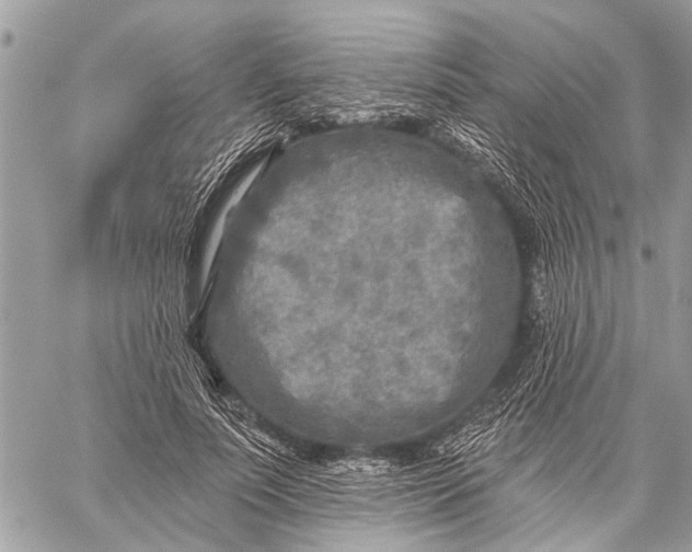 X0000059080691200510281724