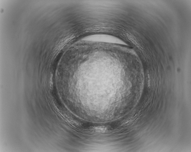 X0000059080692200510281724