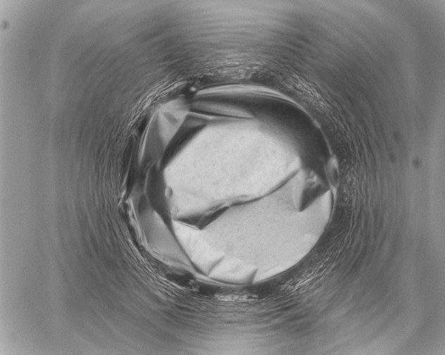 X0000059080693200510281724