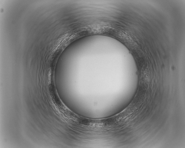 X0000059080694200510281724