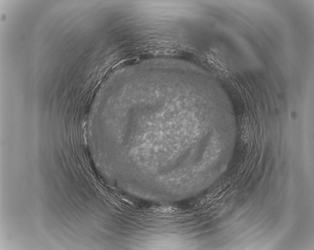 X0000059080695200510281724