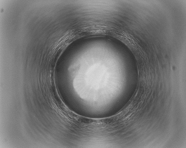 X0000059080696200510281724