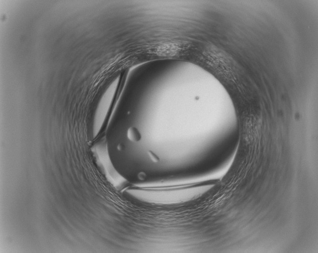 X0000059080697200510281724