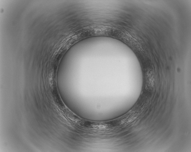 X0000059080698200510281724