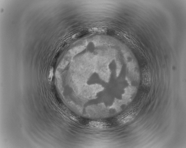 X0000059080699200510281724