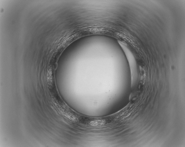 X0000059080700200510281724