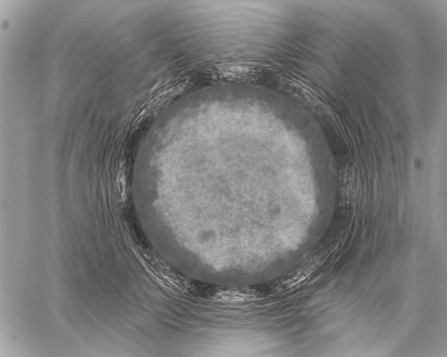 X0000059080703200510281724