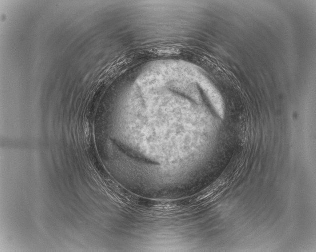 X0000059080704200510281724