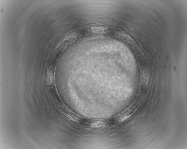 X0000059080705200510281724