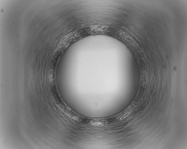 X0000059080706200510281724