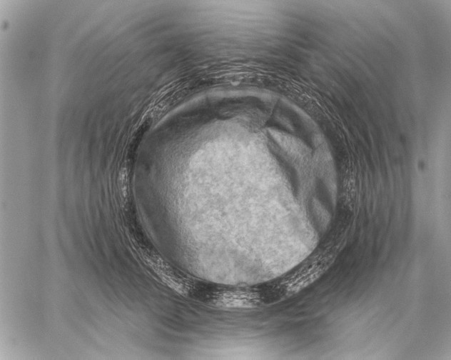 X0000059080708200510281724