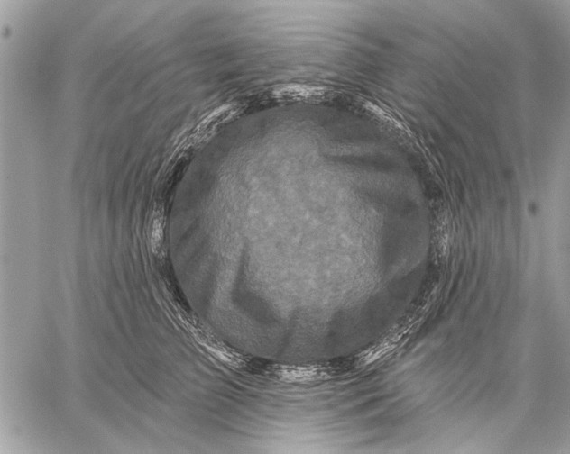 X0000059080709200510281724