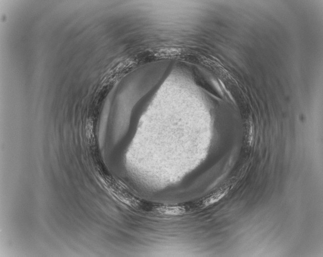 X0000059080711200510281723