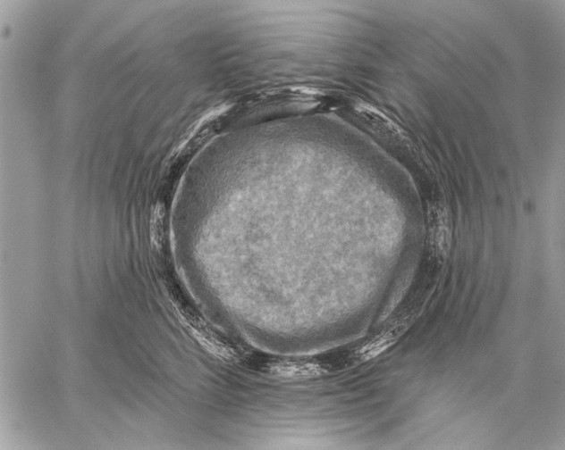 X0000059080712200510281723