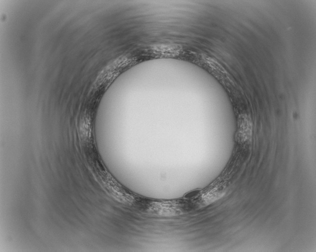 X0000059080713200510281723