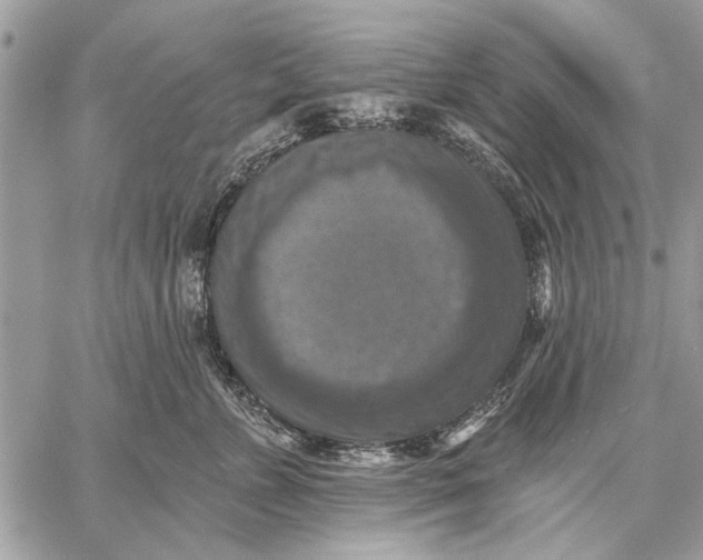 X0000059080715200510281723