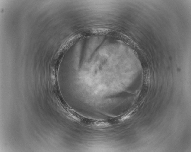 X0000059080716200510281723