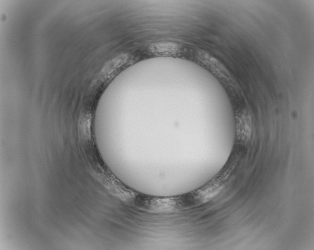 X0000059080717200510281723