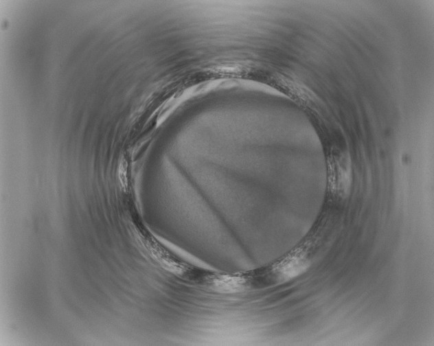 X0000059080718200510281723