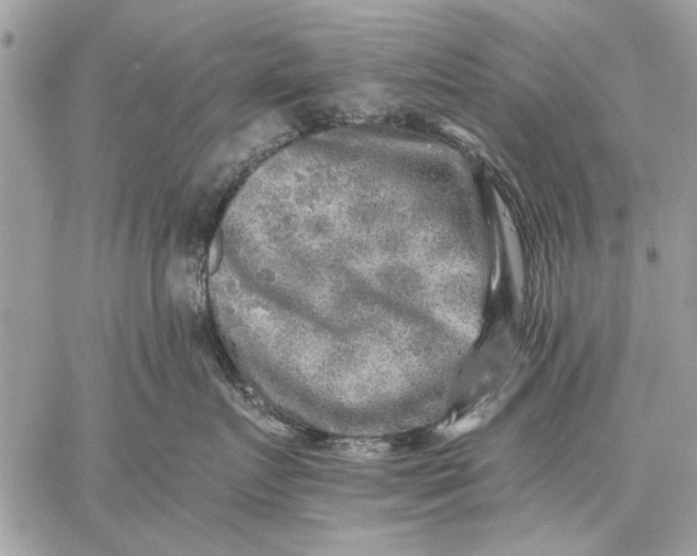 X0000059080719200510281723