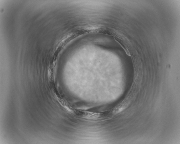 X0000059080720200510281723