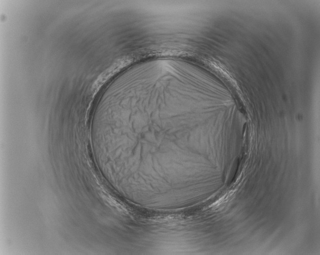 X0000059080721200510281723