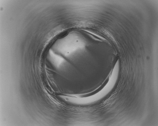 X0000059080722200510281723