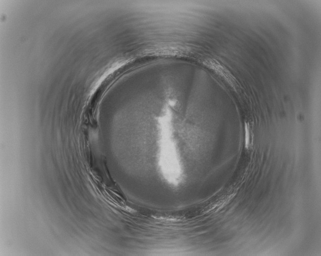 X0000059080723200510281723