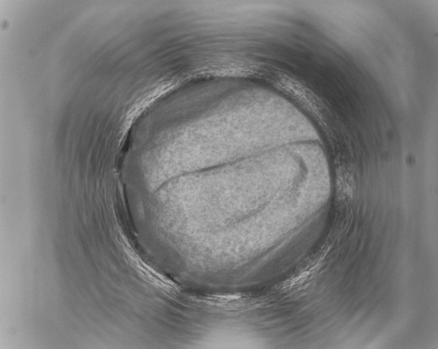 X0000059080725200510281723