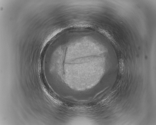 X0000059080726200510281723