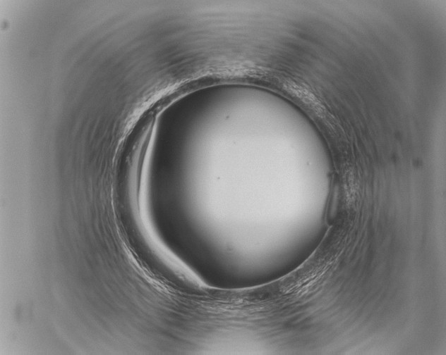 X0000059080728200510281723