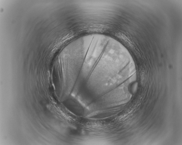 X0000059080729200510281723