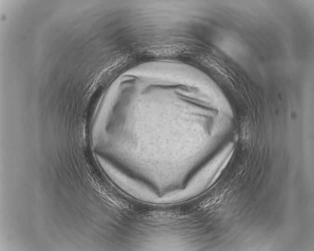 X0000059080733200510281723