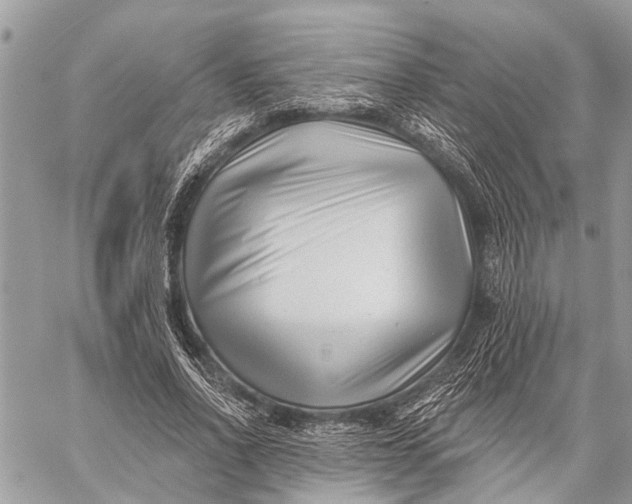 X0000059080734200510281723