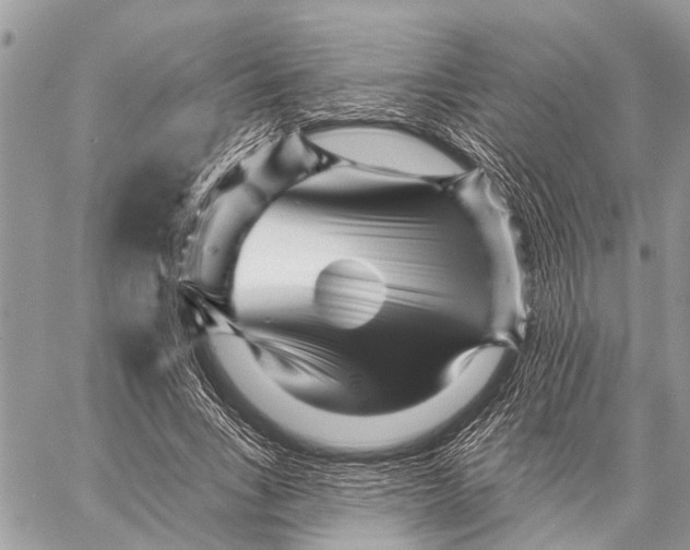 X0000059080735200510281723